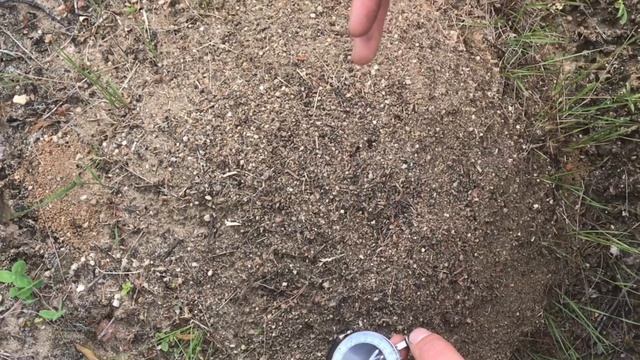 КАК сделать КОМПАС своими руками | ЛЕСНЫЕ ФЕИ смотреть онлайн