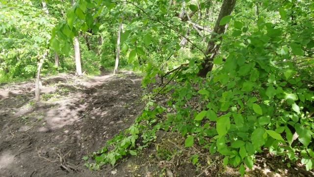 БУГРИ KTM.GEON GNS.KOVI PRO.LITE #421