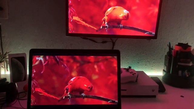 Uso una TV como MONITOR ¿Funciona? ? смотреть онлайн