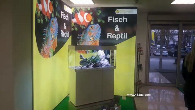 Fisch und reptil Выставка Зиндельфинген, рептилии, аквариумные рыбки, Германия, слайд шоу смотреть онлайн