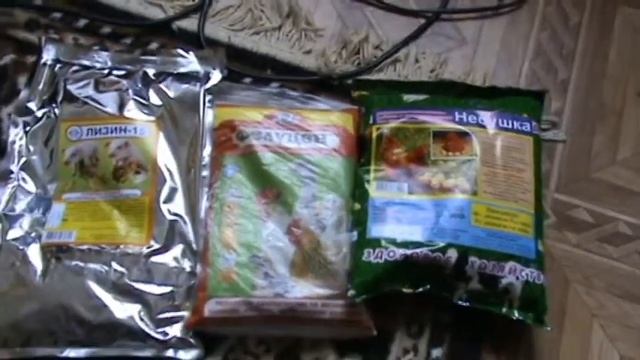 Улучшаю состав корма для кур с целью увеличить яйценоскость смотреть онлайн