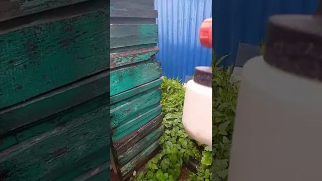 Краскопульт - Хамер смотреть онлайн