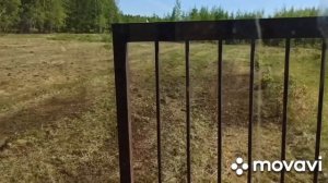 Очистка заросшего поле от деревьев и кустарников.
