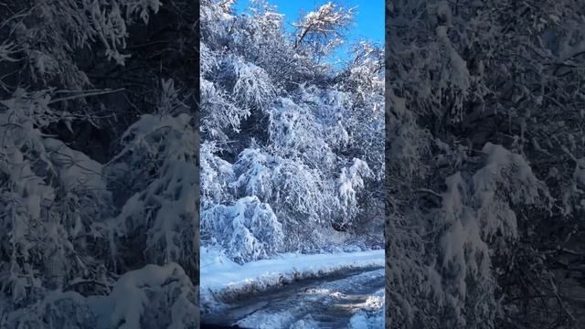 Зимняя сказка смотреть онлайн