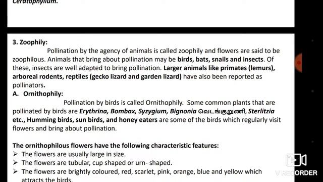 Botany - Sexual reproduction in flowering plants - Pollinating agents смотреть онлайн