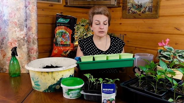 Подкормка рассады баклажанов: чем удобрить, чтобы вырастить крепкие и здоровые сеянцы.