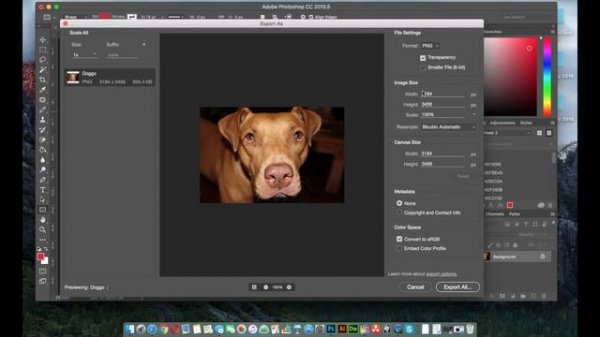 Tutorial: How To Compress & Optimize Images For The Web with Photoshop (Make your Site Load Faster)