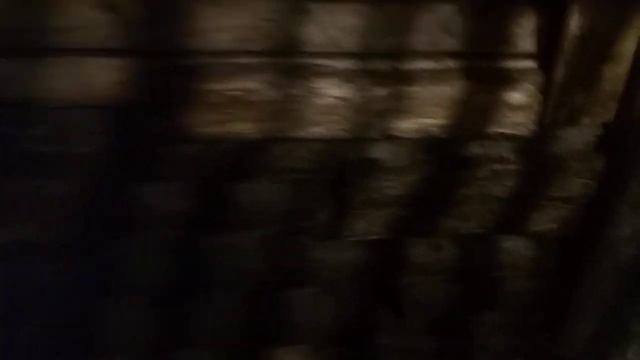 Овчарня спустя 2 года.Выводы