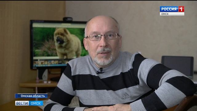 Ростелеком смотреть онлайн