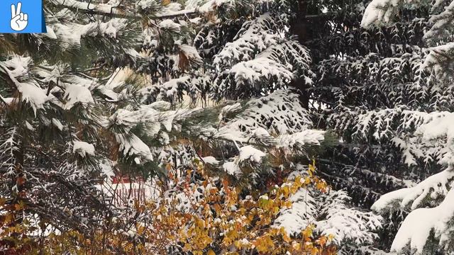 Christmas Piano Music, Peaceful and Relaxing Music, Stress Relief Music, Classic Cozy Piano Carols смотреть онлайн