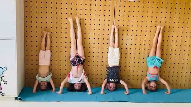 Занятие гимнастикой. Обучение стойке на руках смотреть онлайн