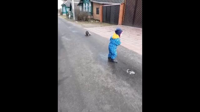 Енот и малыш: кто сильнее? смотреть онлайн