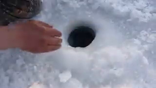 зимняя рыбалка смотреть онлайн