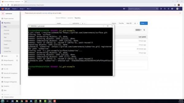 git submodule update example