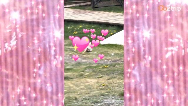 Зона отдыха Kolsay Lakes Town Кольсай