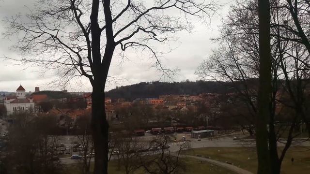 ЧТО ПОСМОТРЕТЬ В ВИЛЬНЮСЕ // ВЫХОДНЫЕ В ЛИТВЕ // ВЛОГ смотреть онлайн