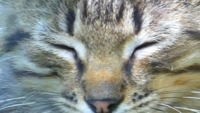 Лёгкая расслабляющая музыка от Люсьена Шамбаллани. Снимаем напряжение и позитивно проводим время.