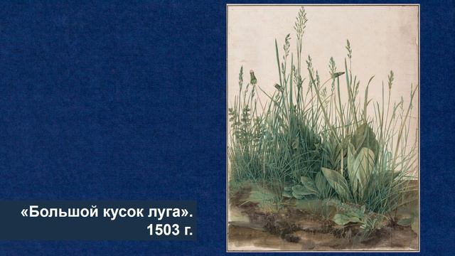 Всемирная история на монетах, выпуск 3. Альбрехт Дюрер смотреть онлайн
