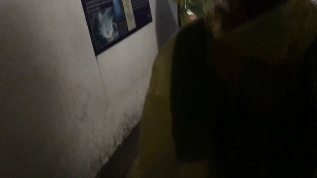 8 способов увидеть Ниагарский Водопад | Канада - Ниагарские Водопады | Путешествие в Канаду смотреть онлайн