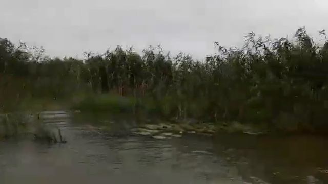 Поездка на Лотосные поля. Золотой затон. смотреть онлайн