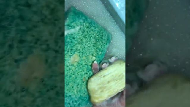 Размокшее хоз мыло Нмжк 350 грамм смотреть онлайн