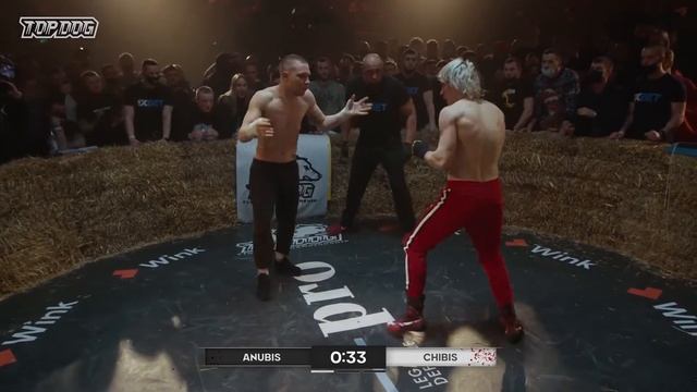 АНУБИС ПРОТИВ ЧИБИСА ПРОКЛЯТИЕ ЧИБИСА смотреть онлайн