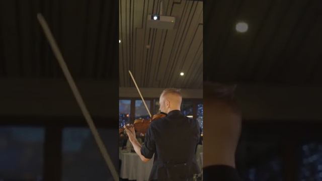 Прекрасный скрипач в Москве!🎻