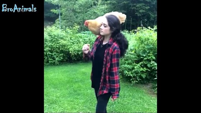 ПРИКОЛЫ С ЖИВОТНЫМИ, смешные птицы FUN WITH ANIMALS, funny birds #444 смотреть онлайн