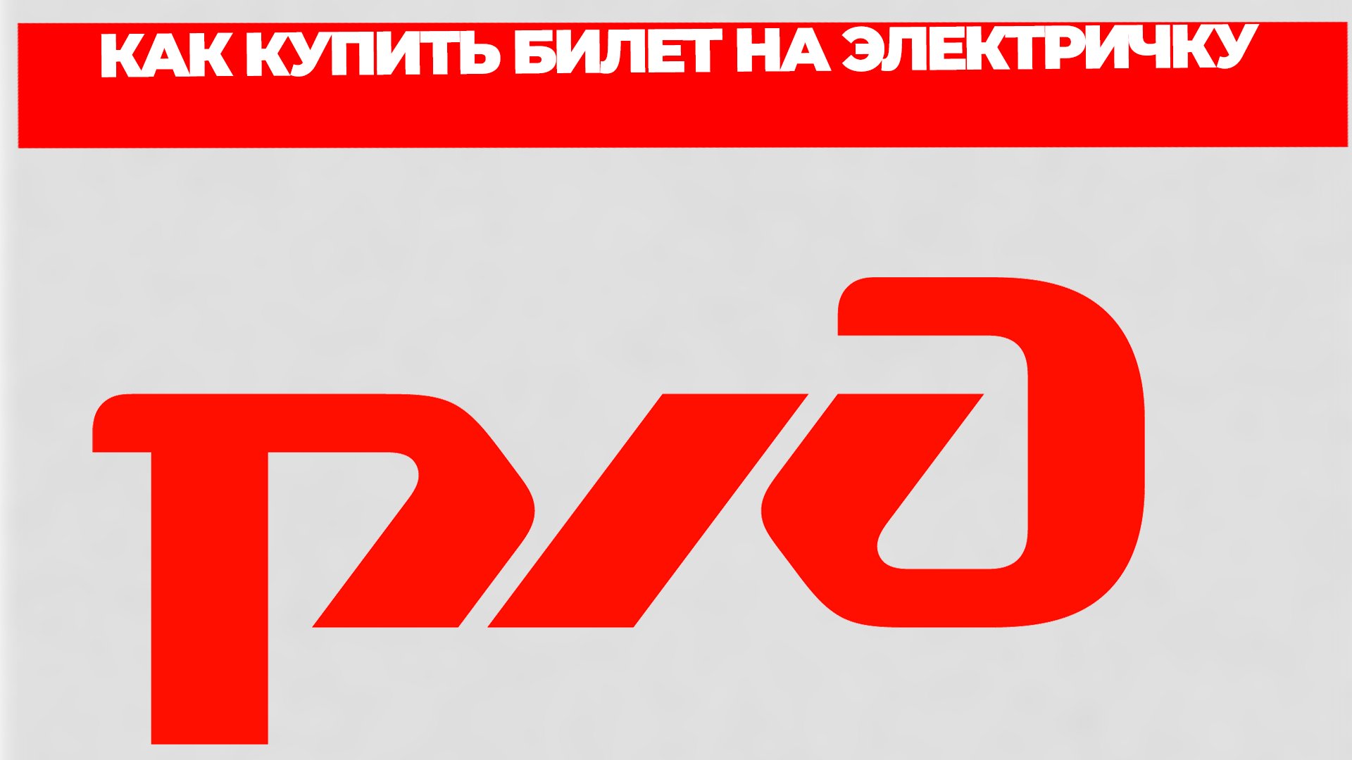 Всезнающий Енот