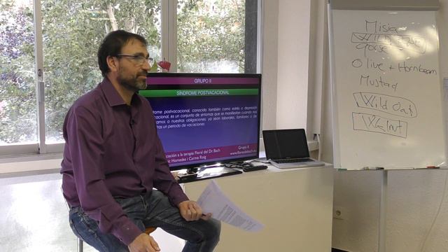 Síndrome postvacacional y Flores de Bach смотреть онлайн