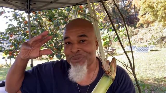 Homesteaders Gardeners EXPAND YOUR FOOD PRODUCTION FOR FREE! смотреть онлайн