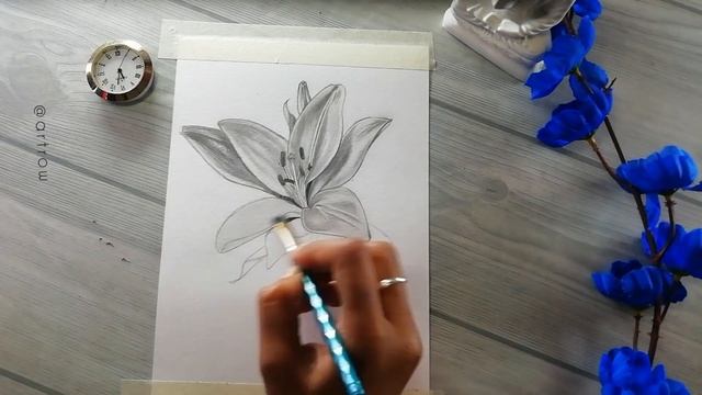 Can I Draw || How To Draw Lily Flower || lily flower || art row смотреть онлайн