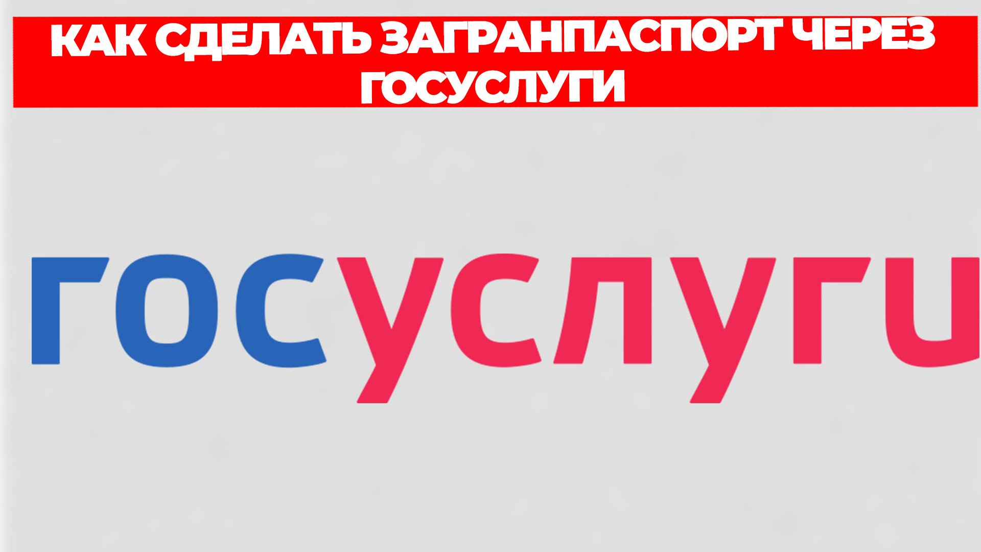 Всезнающий Енот