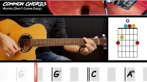 Words (Don't Come Easy) - FR David | GUITAR LESSON | Common Chords