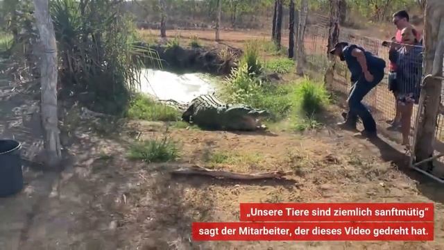 Не ходите девки в Африку гулять смотреть онлайн