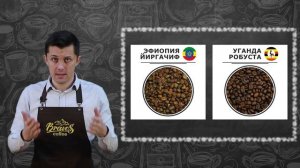 Робуста   Что такое кофе робуста, ее минусы и плюсы☕
