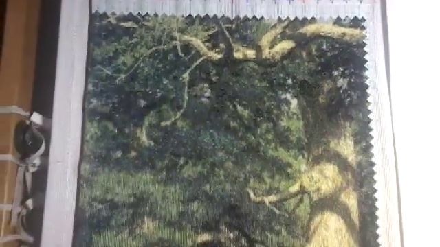 С П "Больше чем просто большая". Отчёт 1. ГК "Дубовая роща" смотреть онлайн