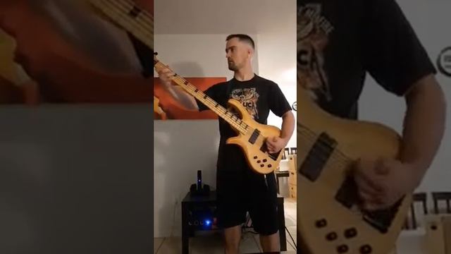 Testament - The New Order BASS COVER 🔊🤘💀🤘🇨🇦 смотреть онлайн