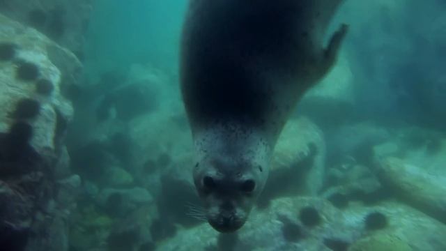 «Тропами Дерсу по местам Силы»