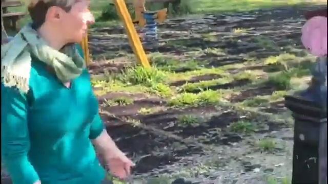 Progetto Cervia - Italia in Comune focus sul verde a Savio di Cervia смотреть онлайн