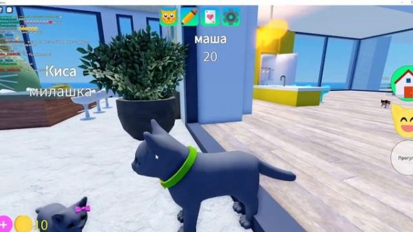 НОВОЕ ОБНОВЛЕНИЕ В ИГРЕ CAT GAME!!