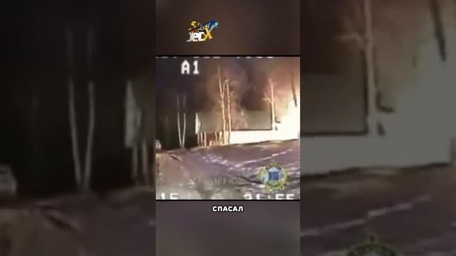 Самый умный пёс ? смотреть онлайн