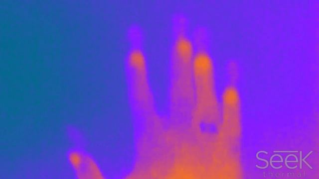 Seek Thermal - тепловые следы