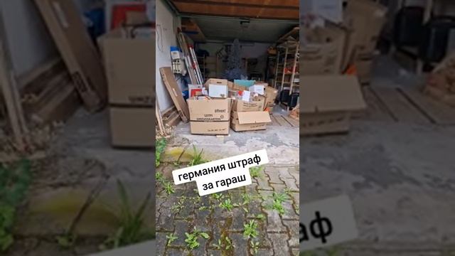 А за что в Германии вообще не штрафуют? смотреть онлайн