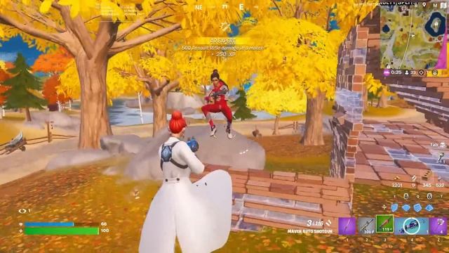 100 *TRYHARD* Skin Combos In Fortnite!