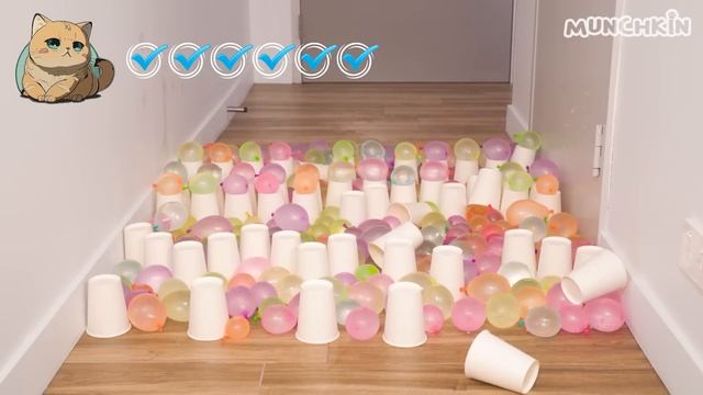 What Can't Cats Walk On? #22 смотреть онлайн