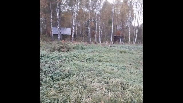 Покупка дачи в подмосковье смотреть онлайн
