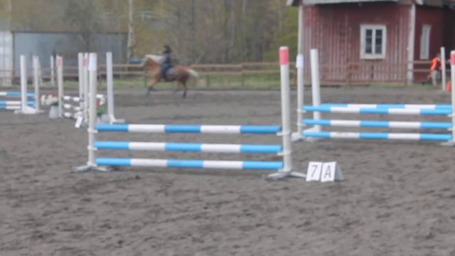 Erika ja goldi 70-80cm savijärvi смотреть онлайн