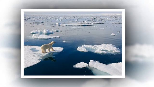 Северный Ледовитый океан смотреть онлайн