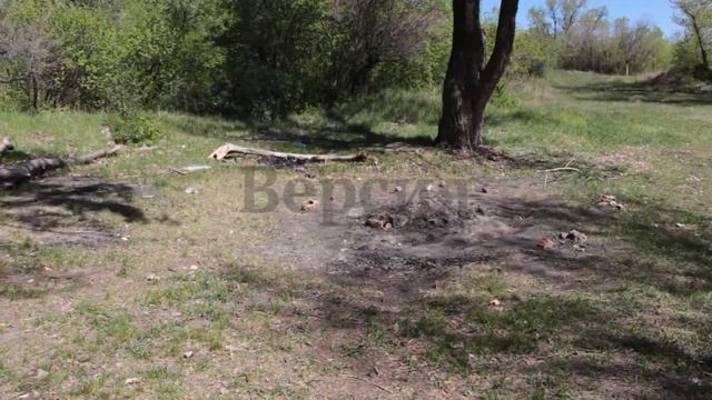 Саратовский активист убрался возле парка Победы смотреть онлайн